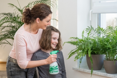 Handsprüher der Solution Kollektion sind ideal für die Pflege von kleineren Grünpflanzen