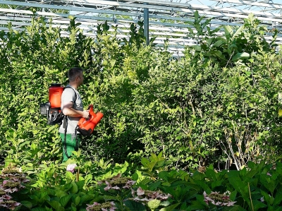 AS 1200 ermöglicht eine zielgenaue Applikation und bessere Bestandsdurchdringung 