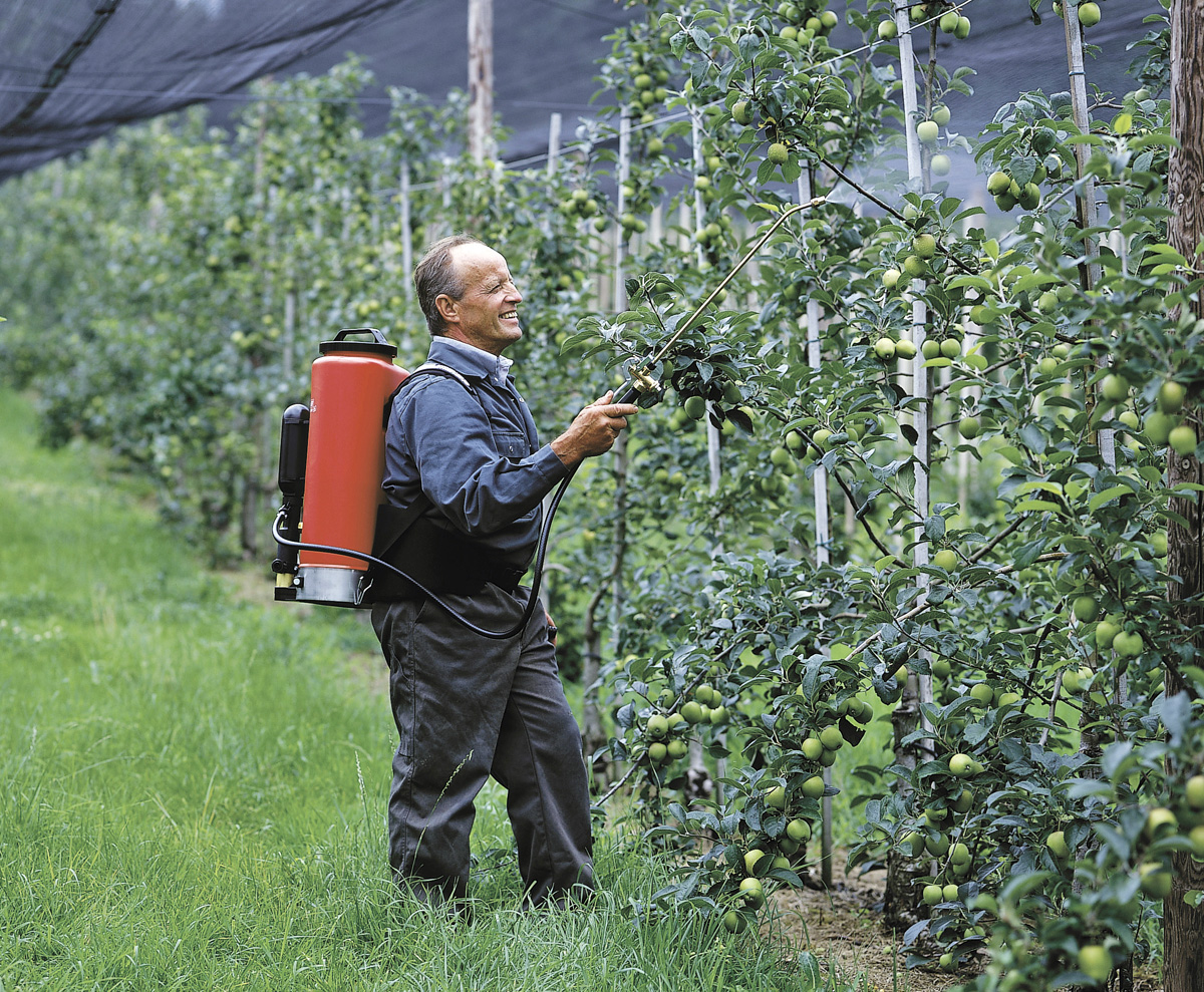 20-Liter Sprühgerät Senior von Birchmeier, Pflanzenschutz, Unkrautbekämpfung, Obstbau